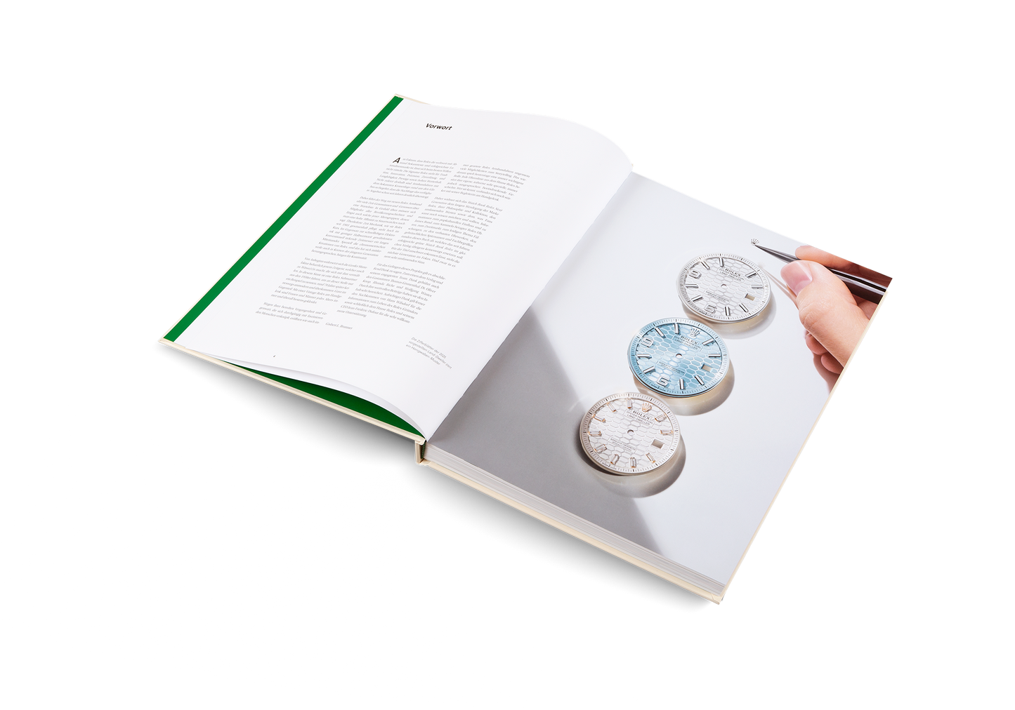 THE WATCH BOOK ROLEX - NEXT GENERATION